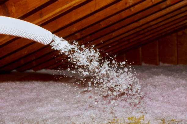 Best Cellulose Insulation  in Delevan, NY