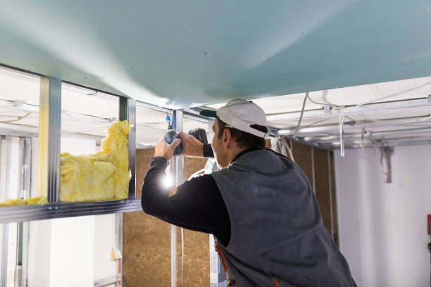 Best Affordable Insulation Services  in Delevan, NY