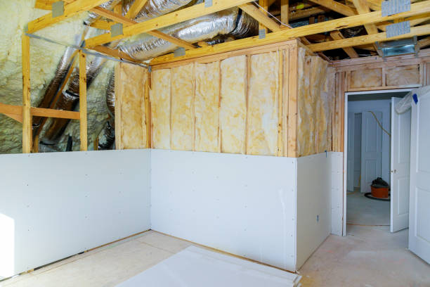 Best Professional Insulation Contractor  in Delevan, NY