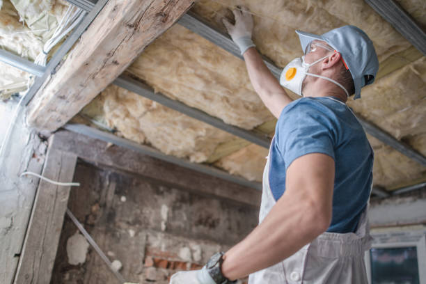 Insulation Repair Services in Delevan, NY