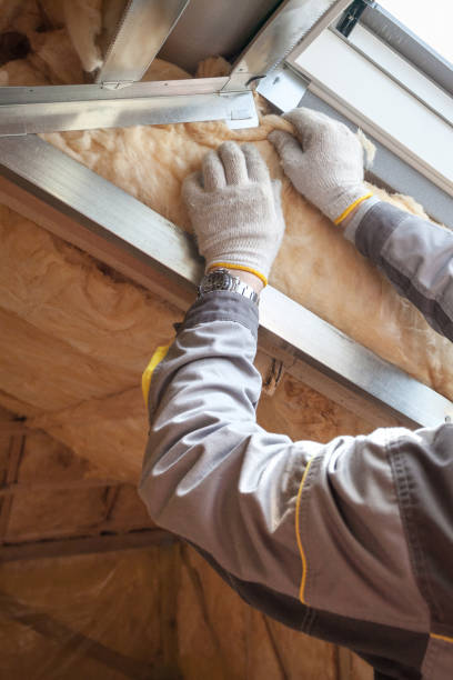 Best Commercial Insulation Contractor  in Delevan, NY